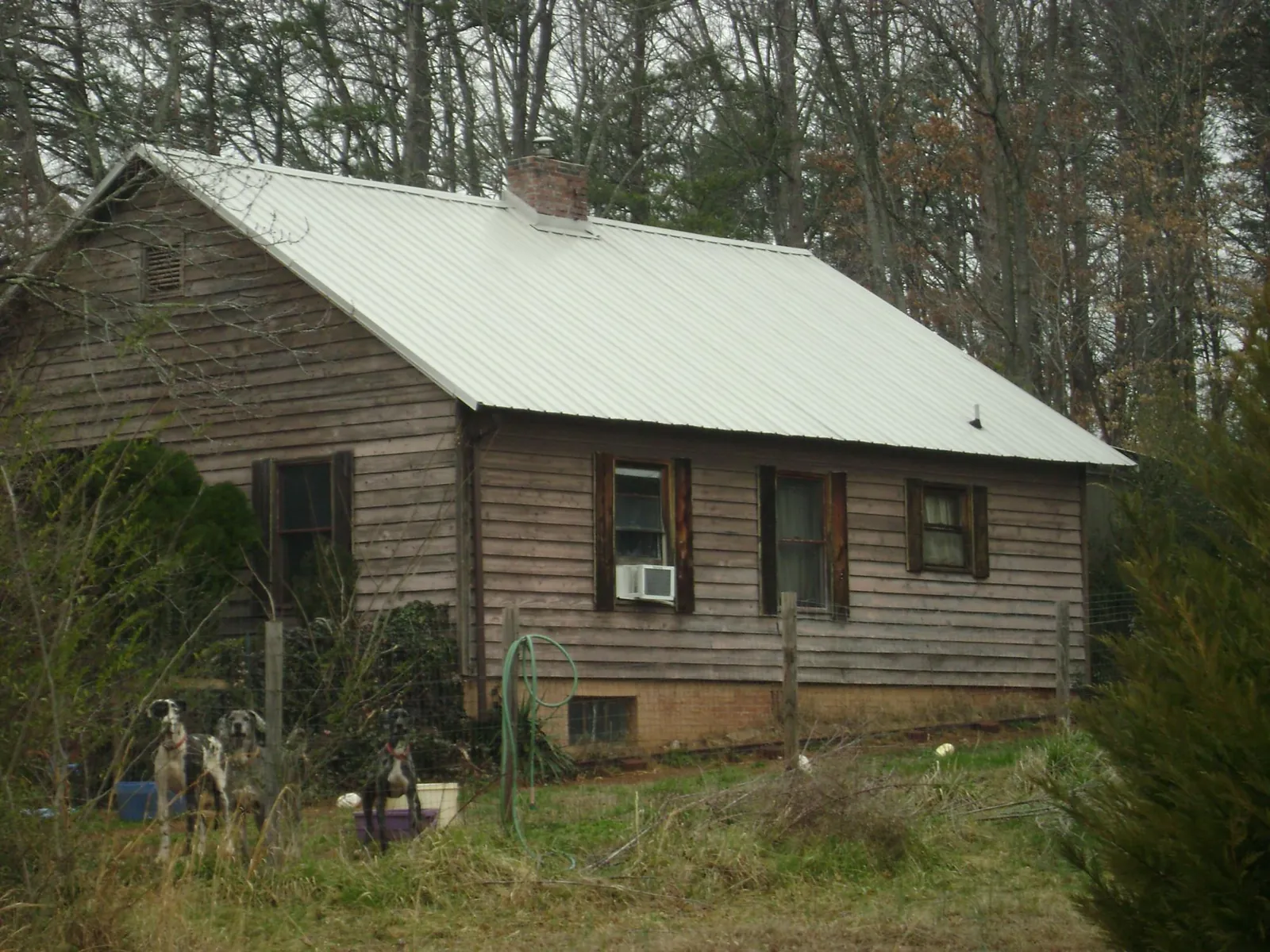 White metal roof on an old wood sided farmhouse, from a Asphalt Shingle Roof Repair job in Vaughn